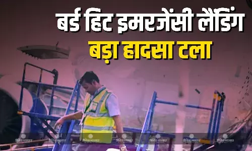 इंडिगो विमान से टकराया पक्षी, नागपुर में करानी पड़ी इमरजेंसी लैंडिंग