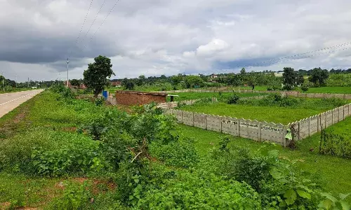 बिना परमिशन ढाई सौ से ज्यादा रजिस्ट्री बिना परमिशन ढाई सौ से ज्यादा रजिस्ट्री
