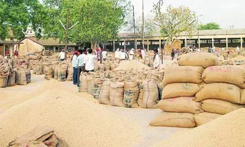 उचित दाम की प्रतीक्षा में भंडारा के धान उत्पादक किसान