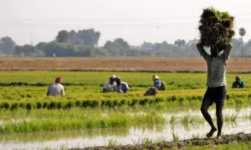 कृषि उपज मंडियों में त्रुटि सुधार के लिए चेंज मैनेजमेंट सिस्टम लागू हुआ