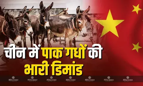 पकिस्तान के गधों की कीमत में काफी उछाल, भारी तादाद में खरीद रहा है ड्रैगन पकिस्तान के गधों की कीमत में काफी उछाल, भारी तादाद में खरीद रहा है ड्रैगन