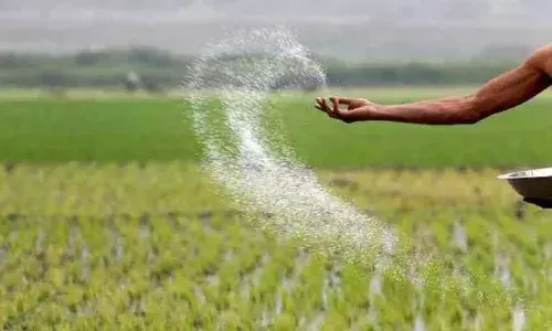 रीवा में खाद वितरण व्यवस्था की समीक्षा, 3 दिन में 2 फुल और 1 हाफ रैक यूरिया रीवा पहुंचेगी