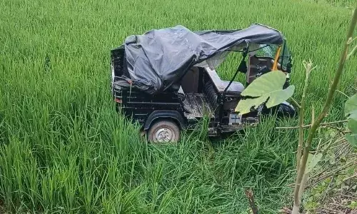 पुरैनी से रैपुरा जा रहा ऑटो अनियंत्रित होकर खेत में पलटा, एक दर्जन लोग हुए घायल, पांच कटनी के लिए रेफर पुरैनी से रैपुरा जा रहा ऑटो अनियंत्रित होकर खेत में पलटा, एक दर्जन लोग हुए घायल, पांच कटनी के लिए रेफर