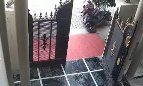 स्कूटी बैक करने में लगा दिया पूरा दिमाग, लेकिन फिर भी नहीं हुई बैक, महिला का वीडियो हो रहा वायरल