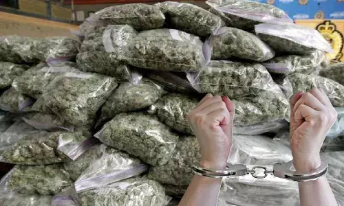 ऑपरेशन नार्कोस में मिली सफलता, 42 किलो गांजा किया जब्त, तीन आरोपी गिरफ्तार