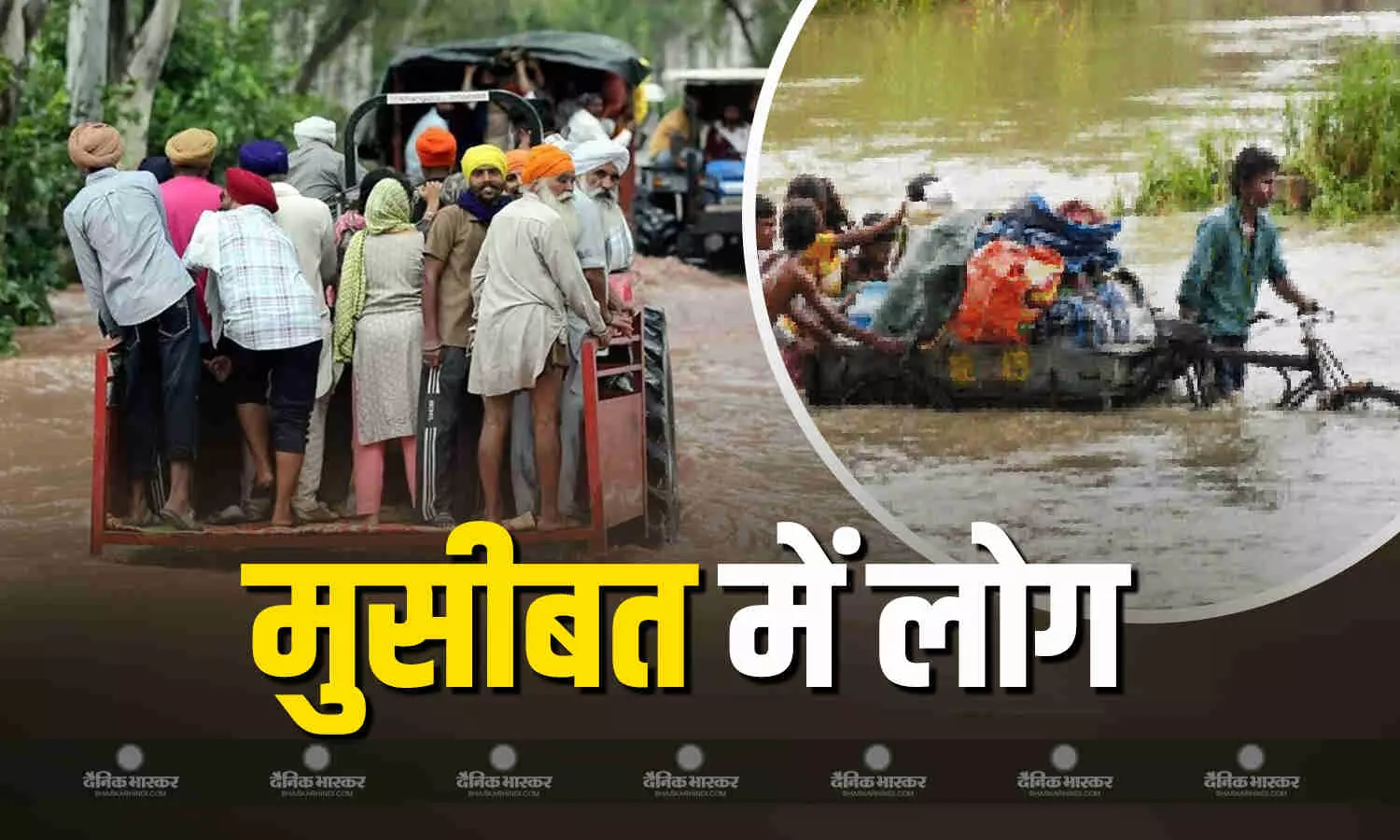 छत पर रहने की आई नौबत, यातायात प्रभावित, पंजाब से लेकर दिल्ली तक एक ही कहानी, बाढ़ ने बढ़ाई लोगों की परेशानी छत पर रहने की आई नौबत, यातायात प्रभावित, पंजाब से लेकर दिल्ली तक एक ही कहानी, बाढ़ ने बढ़ाई लोगों की परेशानी
