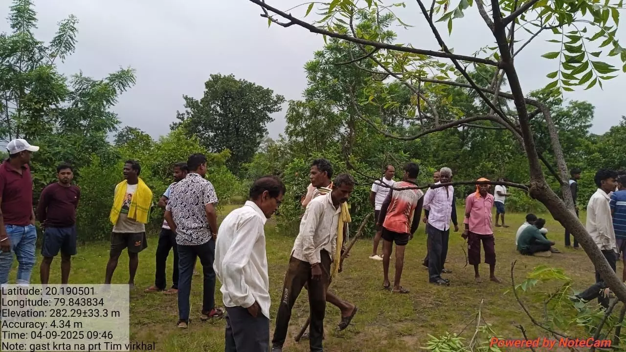 कृषि कार्य में मग्न था किसान , घसीटकर ले गया बाघ, देखते रह गए लोग कृषि कार्य में मग्न था किसान , घसीटकर ले गया बाघ, देखते रह गए लोग