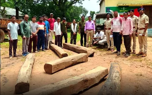 सागौन के 10 लट्ठों के साथ 6.28 लाख का माल जब्त, एक गिरफ्तार सागौन के 10 लट्ठों के साथ 6.28 लाख का माल जब्त, एक गिरफ्तार