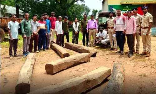 सागौन के 10 लट्ठों के साथ 6.28 लाख का माल जब्त, एक गिरफ्तार