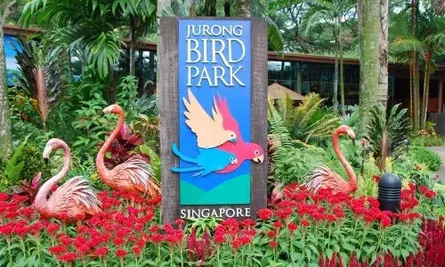 सिंगापुर की तर्ज पर मुलुंड में बनेगा पक्षी उद्यान, 166 करोड़ रुपये का टेंडर सिंगापुर की तर्ज पर मुलुंड में बनेगा पक्षी उद्यान, 166 करोड़ रुपये का टेंडर