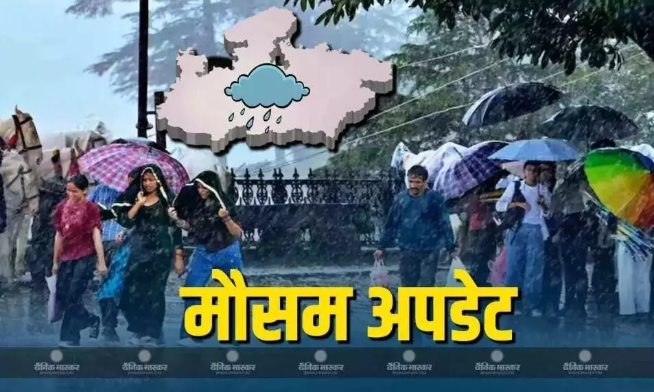 एमपी में झमाझम गिर रहा पानी, नदियों का बढ़ा जलस्तर, जानें कैसा रहने वाला है एमपी के मौसम का हाल एमपी में झमाझम गिर रहा पानी, नदियों का बढ़ा जलस्तर, जानें कैसा रहने वाला है एमपी के मौसम का हाल