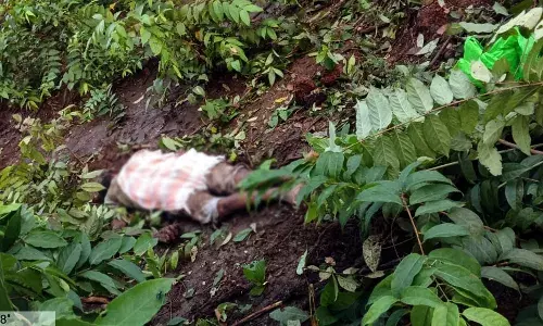 जंगली हाथी के हमले में चरवाहे की मौत ,मवेशियों को चराने गया था जंगल में