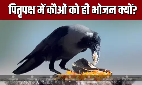 पूर्वजों की आत्मा की शांति के लिए कौओं को खाना खिलाना आखिर क्यों है जरूरी? जानिए इसके पीछे का रहस्य पूर्वजों की आत्मा की शांति के लिए कौओं को खाना खिलाना आखिर क्यों है जरूरी? जानिए इसके पीछे का रहस्य