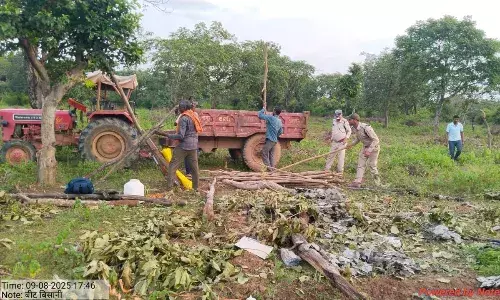 शाहनगर में वन विभाग ने अतिक्रमण के प्रयास को किया विफल शाहनगर में वन विभाग ने अतिक्रमण के प्रयास को किया विफल