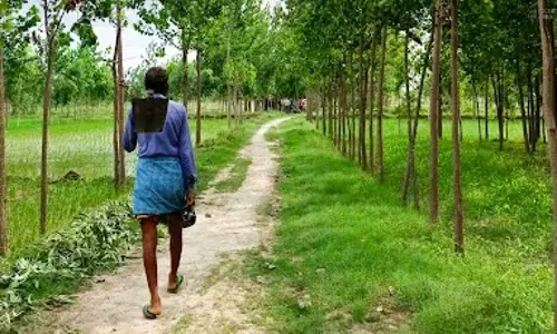 किसानों को खेत तक मिलेगी 12 फुट चौड़ी पक्की सड़क, सातबारा उतारा पर होगा पंजीकरण किसानों को खेत तक मिलेगी 12 फुट चौड़ी पक्की सड़क, सातबारा उतारा पर होगा पंजीकरण