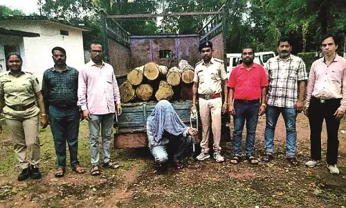 सागौन तस्करी का मुख्य आरोपी एक माह बाद गिरफ्तार, भेजा गया जेल सागौन तस्करी का मुख्य आरोपी एक माह बाद गिरफ्तार, भेजा गया जेल