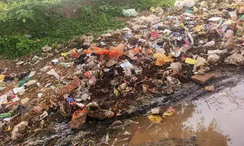 कचड़े का लगा अंबार, दुर्गंध से रहवासी परेशान, सीएम हेल्पलाईन में शिकायत के बाद भी नहीं हो रहा समाधान कचड़े का लगा अंबार, दुर्गंध से रहवासी परेशान, सीएम हेल्पलाईन में शिकायत के बाद भी नहीं हो रहा समाधान