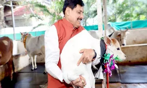 मुख्यमंत्री डॉ. यादव ने नवजात बछिया का किया नामकरण मुख्यमंत्री डॉ. यादव ने नवजात बछिया का किया नामकरण