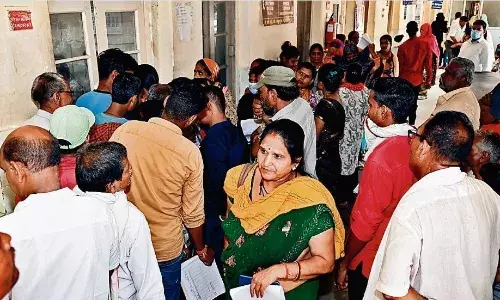 धीरे-धीरे पैर पसार रहा डेंगू-चिकनगुनिया धीरे-धीरे पैर पसार रहा डेंगू-चिकनगुनिया