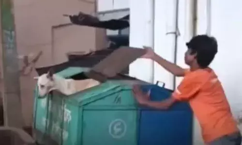 डोगेश भाई को परेशान किया बच्चे ने, तो फिर हुआ कुछ ऐसा कि बच्चे भागा डर के, वीडियो हो रहा वायरल