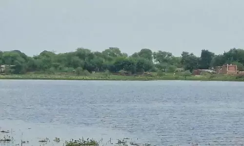 ऐतिहासिक मानसागर तालाब का अस्तित्व खतरे में, उपेक्षा और अतिक्रमण ने छींन ली सुंदरता