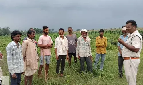 शहर के पास टाइगर-तेंदुआ, माल्हनवाड़ा के खेत में मिले पगमार्क शहर के पास टाइगर-तेंदुआ, माल्हनवाड़ा के खेत में मिले पगमार्क