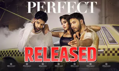 सनी संस्कारी की तुलसी कुमारी का परफेक्ट गाना हुआ रिलीज, वरुण-जाह्नवी और गुरु रंधावा ने मचाया धमाल