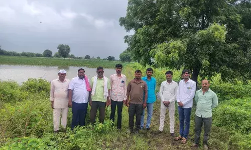 एक घंटे की जोरदार बारिश से फसलें बर्बाद, किसानों ने मुआवजा देने की रखी मांग एक घंटे की जोरदार बारिश से फसलें बर्बाद, किसानों ने मुआवजा देने की रखी मांग