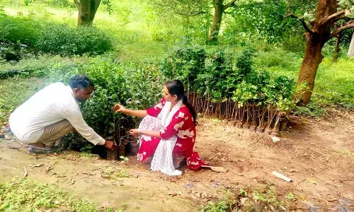 किसानों को संजय निकुंज नर्सरी में सुरक्षित बागवानी के मिले सुझाव किसानों को संजय निकुंज नर्सरी में सुरक्षित बागवानी के मिले सुझाव