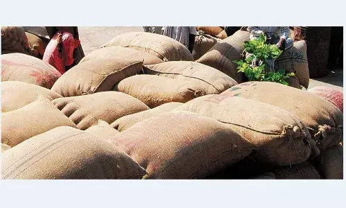 मूंग-उड़द की फर्जी खरीदी दिखाकर पौने दो करोड़ का चूना लगाने वालों से होगी वसूली मूंग-उड़द की फर्जी खरीदी दिखाकर पौने दो करोड़ का चूना लगाने वालों से होगी वसूली