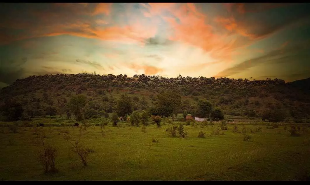 उत्तर नक्षत्र यात्रा का शुभारंभ - यहां प्राकृतिक सौंदर्य और दुर्लभ औषधियों का खजाना उत्तर नक्षत्र यात्रा का शुभारंभ - यहां प्राकृतिक सौंदर्य और दुर्लभ औषधियों का खजाना