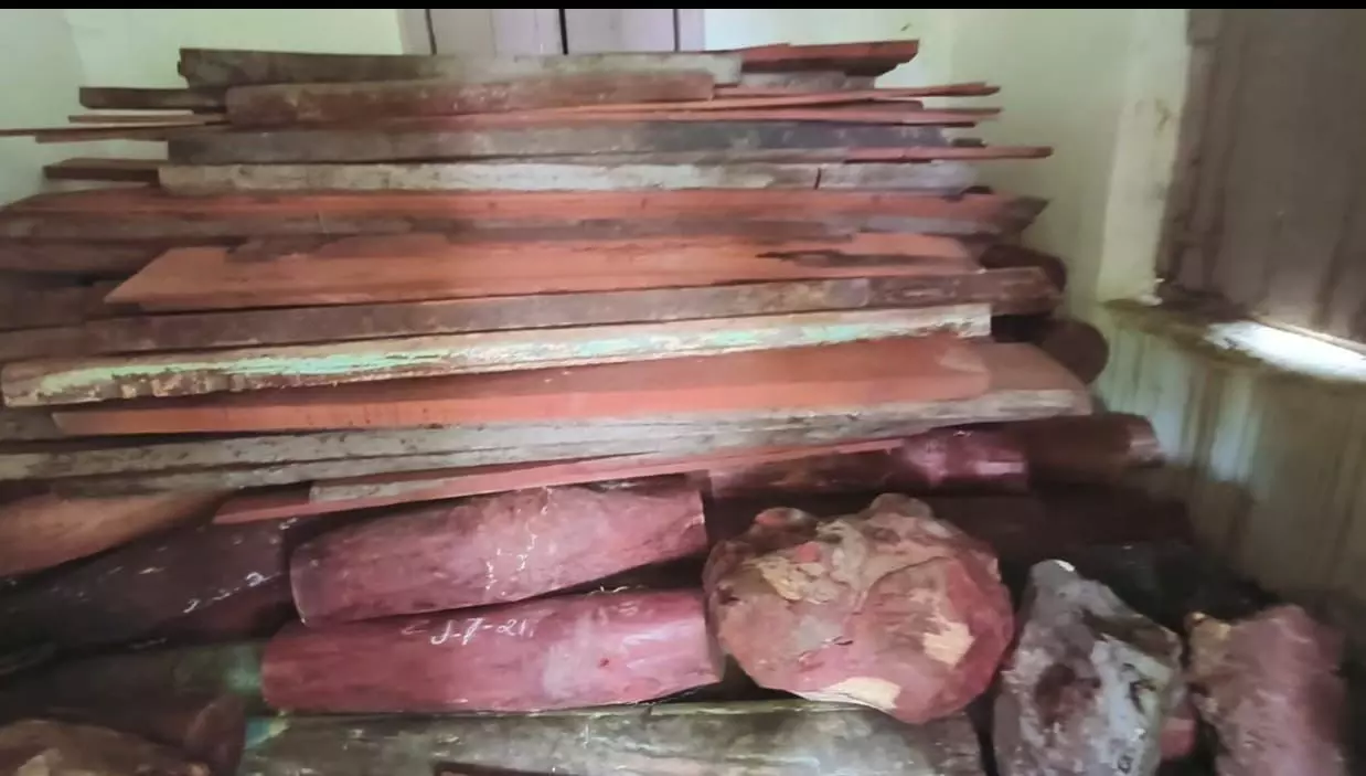 पालघर में फार्म हाउस से 12 करोड़ की लाल चंदन की लकड़ी बरामद, 200 गट्ठे मिले पालघर में फार्म हाउस से 12 करोड़ की लाल चंदन की लकड़ी बरामद, 200 गट्ठे मिले