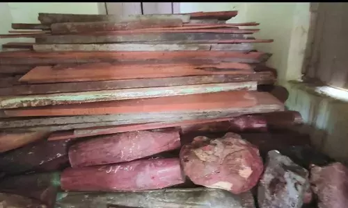 पालघर में फार्म हाउस से 12 करोड़ की लाल चंदन की लकड़ी बरामद, 200 गट्ठे मिले पालघर में फार्म हाउस से 12 करोड़ की लाल चंदन की लकड़ी बरामद, 200 गट्ठे मिले