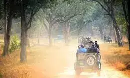 आमजन की पहुंच से बाहर ताड़ोबा सफारी : जिप्सियों की एंट्री पर रोक की चेतावनी! आमजन की पहुंच से बाहर ताड़ोबा सफारी : जिप्सियों की एंट्री पर रोक की चेतावनी!