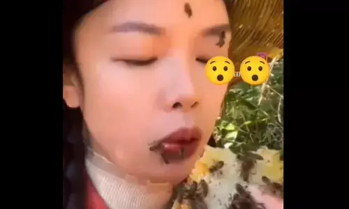 मधुमक्खी के छत्ते की मोम और शहद के साथ मधुमक्खियों को भी खा गई महिला, वीडियो देखकर सभी के खड़े हो गए रैंग्टे!