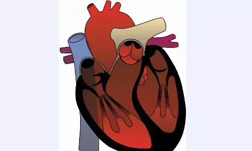 सांस लेने में हल्की तकलीफ पर अलर्ट रहें, सीने में दर्द को न करें अनदेखा सांस लेने में हल्की तकलीफ पर अलर्ट रहें, सीने में दर्द को न करें अनदेखा