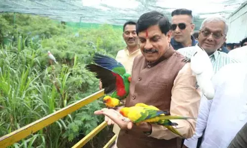 पशु-पक्षी हमारे पर्यावरणीय तंत्र का भी हैं अभिन्न हिस्सा - मुख्यमंत्री डॉ. यादव पशु-पक्षी हमारे पर्यावरणीय तंत्र का भी हैं अभिन्न हिस्सा - मुख्यमंत्री डॉ. यादव