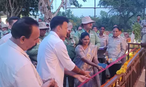बाघ और तेंदुआ देख रोमांचित हुए पर्यटक, तीन माह बाद पर्यटकों के लिए खुला ताड़ोबा व्याघ्र प्रकल्प बाघ और तेंदुआ देख रोमांचित हुए पर्यटक, तीन माह बाद पर्यटकों के लिए खुला ताड़ोबा व्याघ्र प्रकल्प