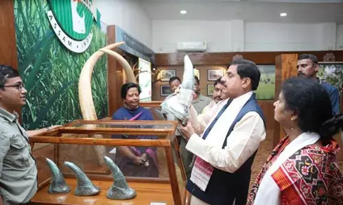 मुख्यमंत्री डॉ. यादव ने किया आसाम के वन्य जीव कन्वेंशन सेंटर का भ्रमण मुख्यमंत्री डॉ. यादव ने किया आसाम के वन्य जीव कन्वेंशन सेंटर का भ्रमण