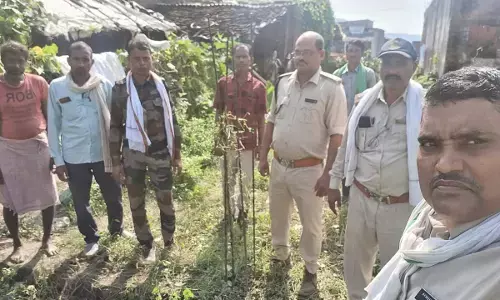 गढ्ढे में गिरे सियार को रेस्क्यू कर सुरक्षित बाहर निकाला