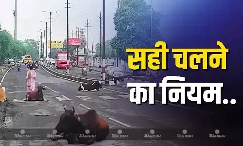 पैदलयात्रियों की गलती को सुधारने के लिए सुप्रीम कोर्ट में दायर की याचिका पैदलयात्रियों की गलती को सुधारने के लिए सुप्रीम कोर्ट में दायर की याचिका