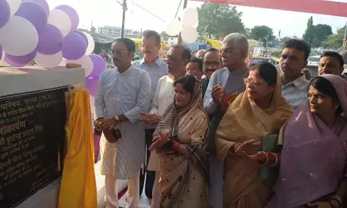 1.25 लाख की लागत से बने पुल का लोकार्पण, पन्ना विधायक बृजेंद्र प्रताप सिंह ने विकास कार्यों पर दिया जोर