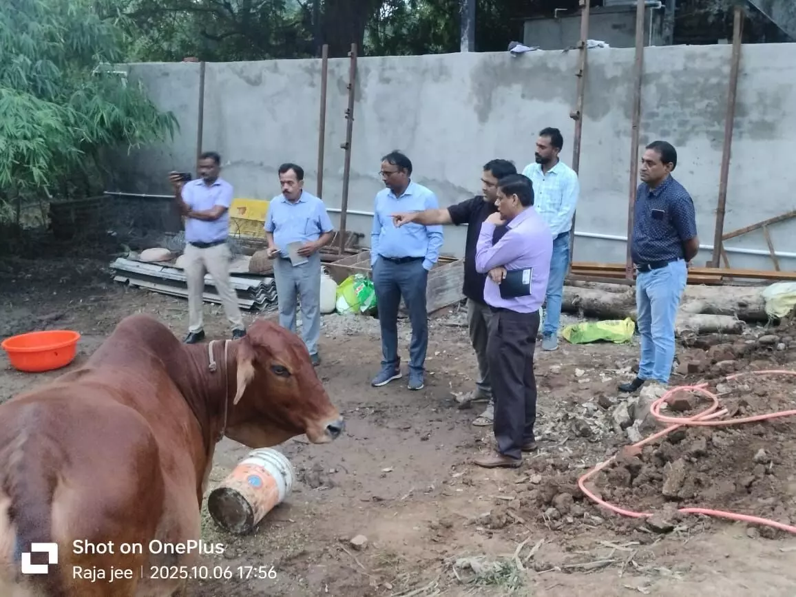 दुग्ध समृद्धि संपर्क अभियान, नोडल अधिकारी द्वारा किया गया निरीक्षण दुग्ध समृद्धि संपर्क अभियान, नोडल अधिकारी द्वारा किया गया निरीक्षण