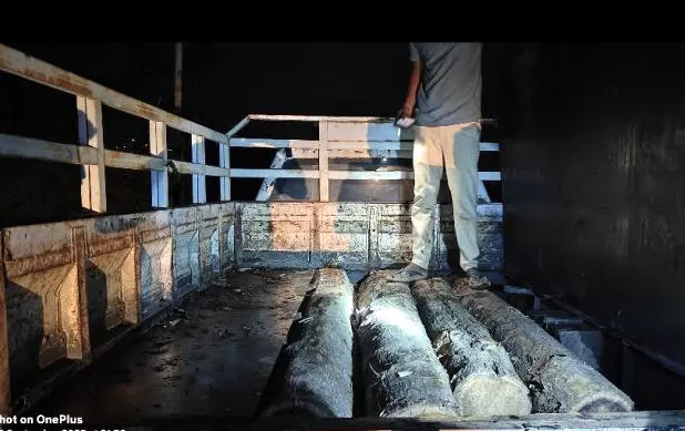 सागौन तस्करी में लिप्त वनरक्षक पर गिरी निलंबन की गाज सागौन तस्करी में लिप्त वनरक्षक पर गिरी निलंबन की गाज