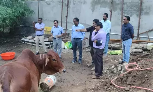 दुग्ध समृद्धि संपर्क अभियान, नोडल अधिकारी द्वारा किया गया निरीक्षण