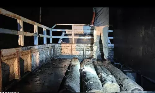 सागौन तस्करी में लिप्त वनरक्षक पर गिरी निलंबन की गाज सागौन तस्करी में लिप्त वनरक्षक पर गिरी निलंबन की गाज