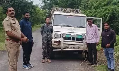 तेंदुए ने किया बंदर का शिकार, देखते ही भागे मजदूर , वन विभाग की टीम पहुंची तेंदुए ने किया बंदर का शिकार, देखते ही भागे मजदूर , वन विभाग की टीम पहुंची