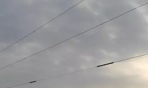 हाईवा की टक्कर से पनागर–ढीमरखेड़ा ट्रांसमिशन लाइन हुई क्षतिग्रस्त हाईवा की टक्कर से पनागर–ढीमरखेड़ा ट्रांसमिशन लाइन हुई क्षतिग्रस्त