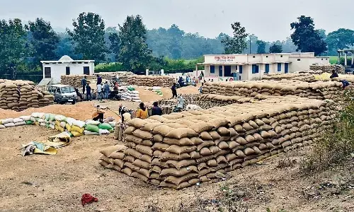 जांच के दायरे में आए किसानों को भी अनाज वापसी की अनुमति मिली जांच के दायरे में आए किसानों को भी अनाज वापसी की अनुमति मिली