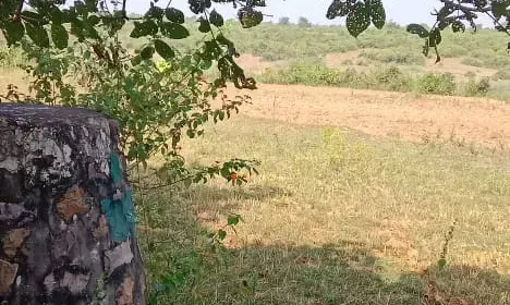 वन विभाग कार्यालय से पांच सौ मीटर की दूरी पर वन भूमि पर दूसरी बार अवैध रूप से जुताई वन विभाग कार्यालय से पांच सौ मीटर की दूरी पर वन भूमि पर दूसरी बार अवैध रूप से जुताई